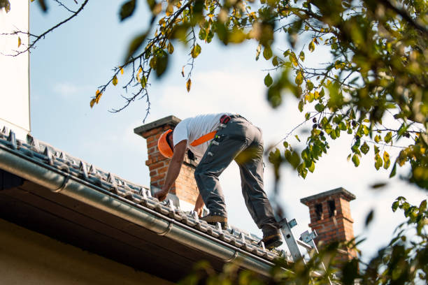 Best Roof Gutter Cleaning  in Macon, MS
