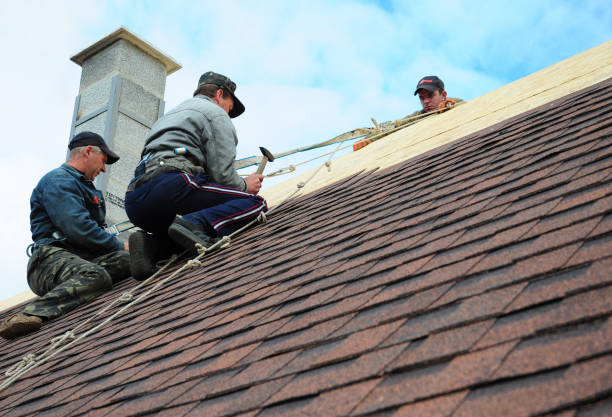Best Storm Damage Roof Repair  in Macon, MS