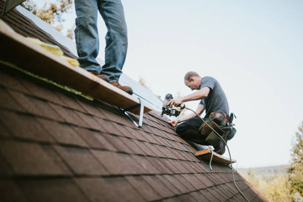 Roof Repair Estimates in Macon, MS
