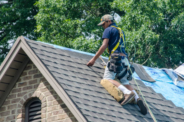 Best Storm Damage Roof Repair  in Macon, MS